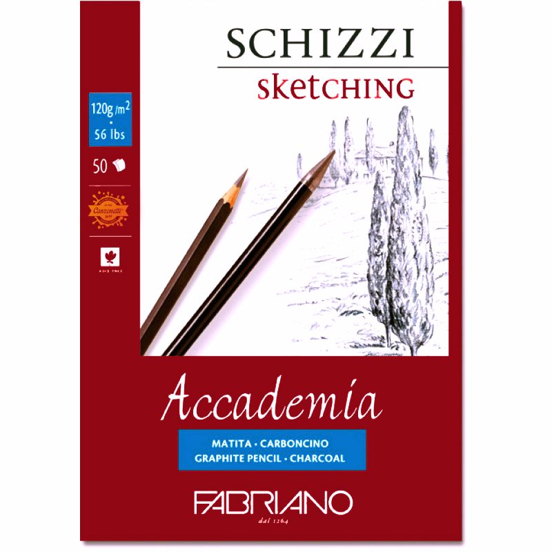 https://www.canzonetti.it/pub/media/catalog/product/cache/23aebf44d75233062a25761a45c59da2/f/a/fabriano-accademia-a3-blocco-da-disegno-schizzi-sketching-50-fogli-120-g-29_7x42-cm-41122942-canzonetti-arte-8001348150749.jpg