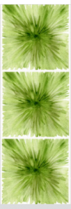 FOMMY DECO' soft Large - MONET verde salvia/verde - Sfumato - 40 x 12 cm - art. GDSFL009 - Renkalik